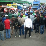 fiesta-1-nov-2009-071