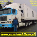 international-gorila international-gorila