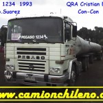 pegaso-con-con pegaso-con-con