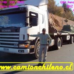 scania-potrillo scania-potrillo