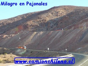 pajonales