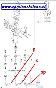 perilla-18