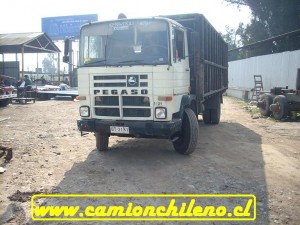 pegaso-003