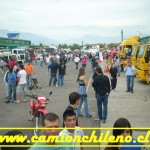 fiesta-1-nov-2009-015