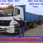 M.Benz Gato Negro
