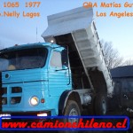 Pegaso N.Lagos